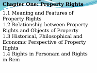 Property Chapter 1.pptx